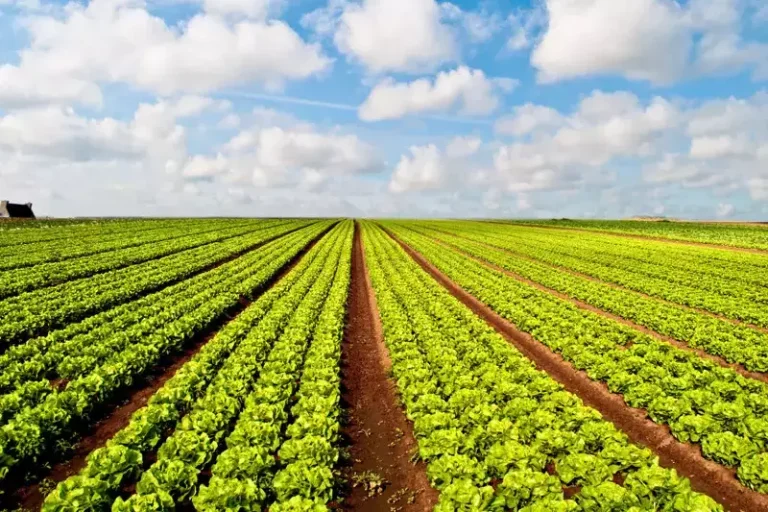 Do you like these pictures? Here you go