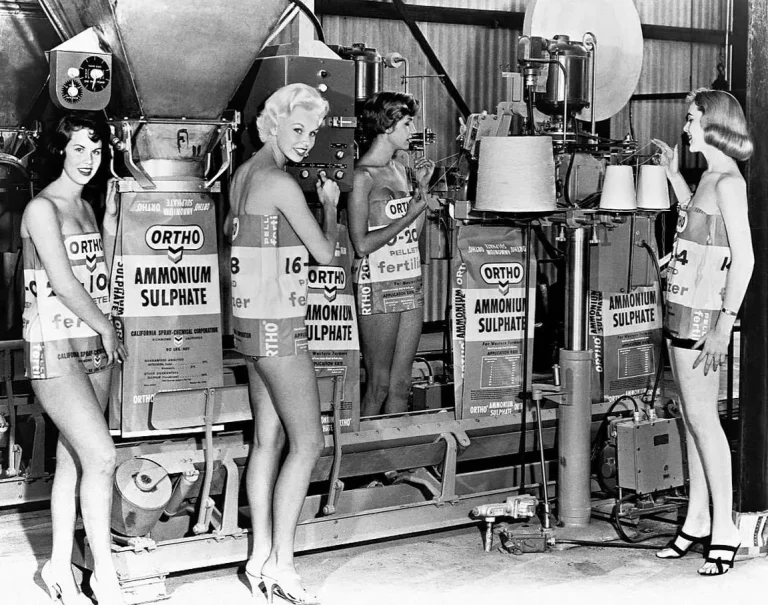 Ah, A Miss Ammonium Sulfate competition? Craze Swimsuit of the ’50s !