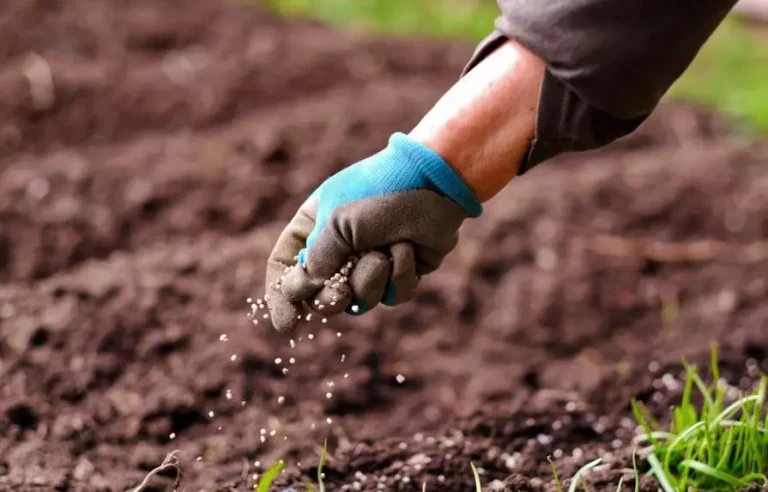 Fertilizer prices will be maintained until the Dom Rep importers’ report is analyzed.